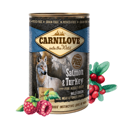 Carnilove Wild Meat Salmon & Turkey 6x 400 g